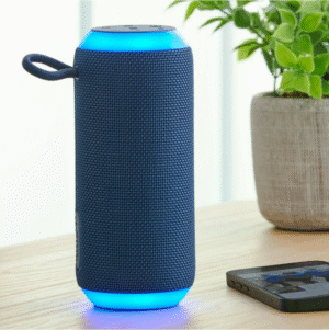 Beoplay A1 Portable Bluetooth